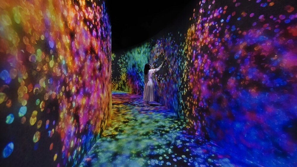 inside teamLab phenomena abu dhabi: a dizzying convergence of light, energy, natural order