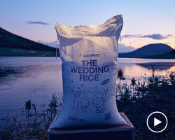wedding rice repurposes non-edible grains for ceremonial use against food waste
