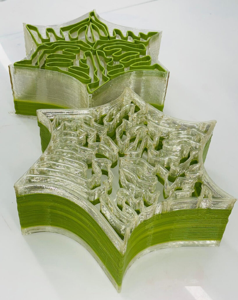 the shapes also construct tiny homes for barnacles, oysters, sponges, and other marine organisms
