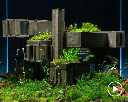 alessio fava's brutalist terrariums reveal what happens when nature reclaims space