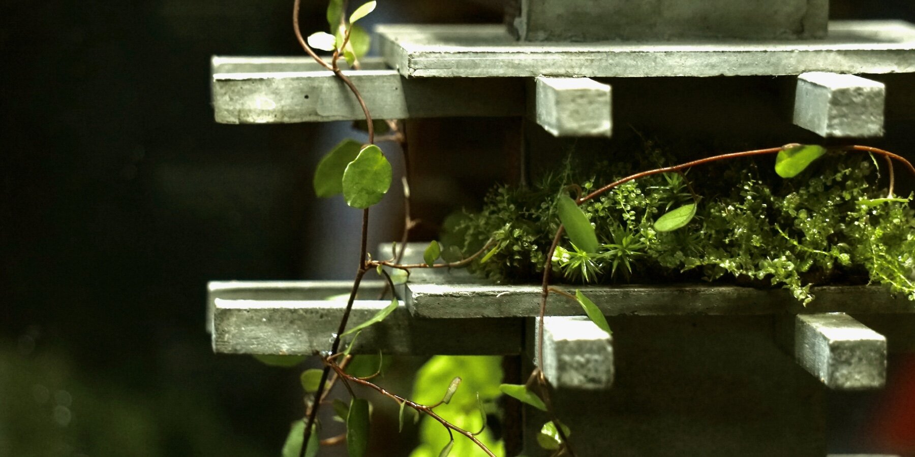 alessio-fava-moss-covered-brutalist-sculptures-space-mondobruto-designboom-full2
