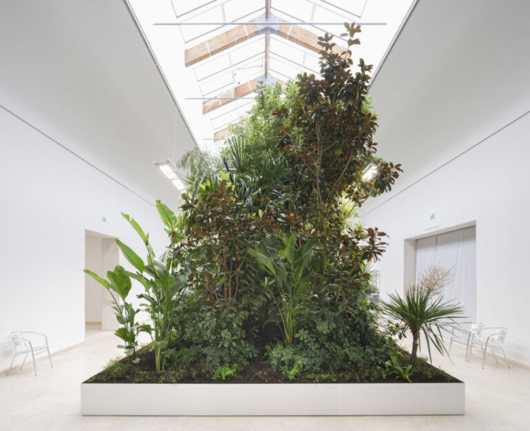 bas smets on building plant-filled biospheres in venice biennale