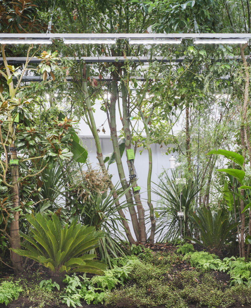 the artificial climate looks into the effects of plant intelligence and biospheres in architecture