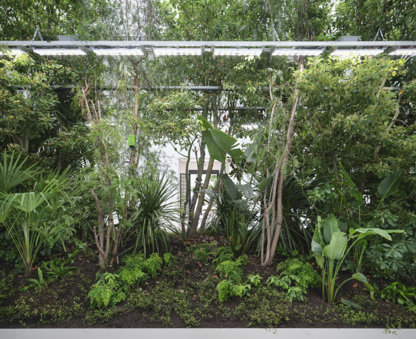  fuse-like boxes cling onto the growing plants, monitoring their state and health