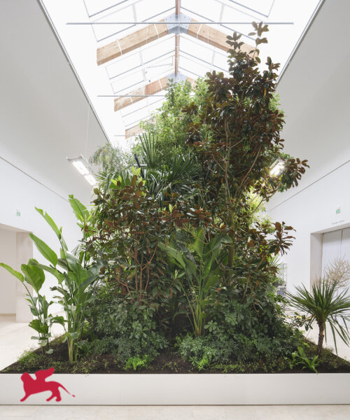 bas smets on building biospheres and microclimates in venice to exhibit plants' intelligence