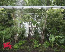 bas smets on building biospheres and microclimates in venice to exhibit plants' intelligence
