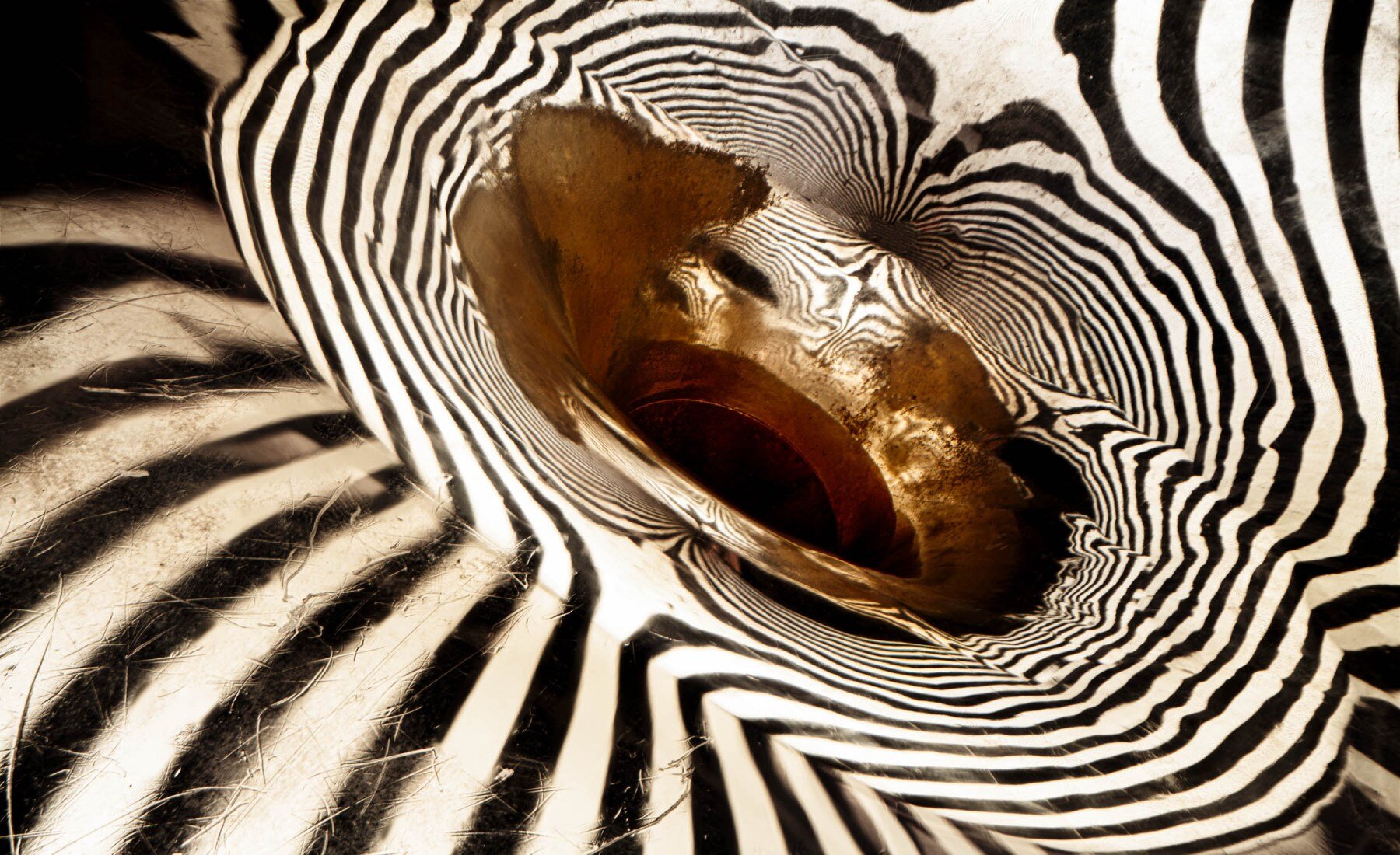 charles-brooks-architecture-in-music-photographs-designboom-02
