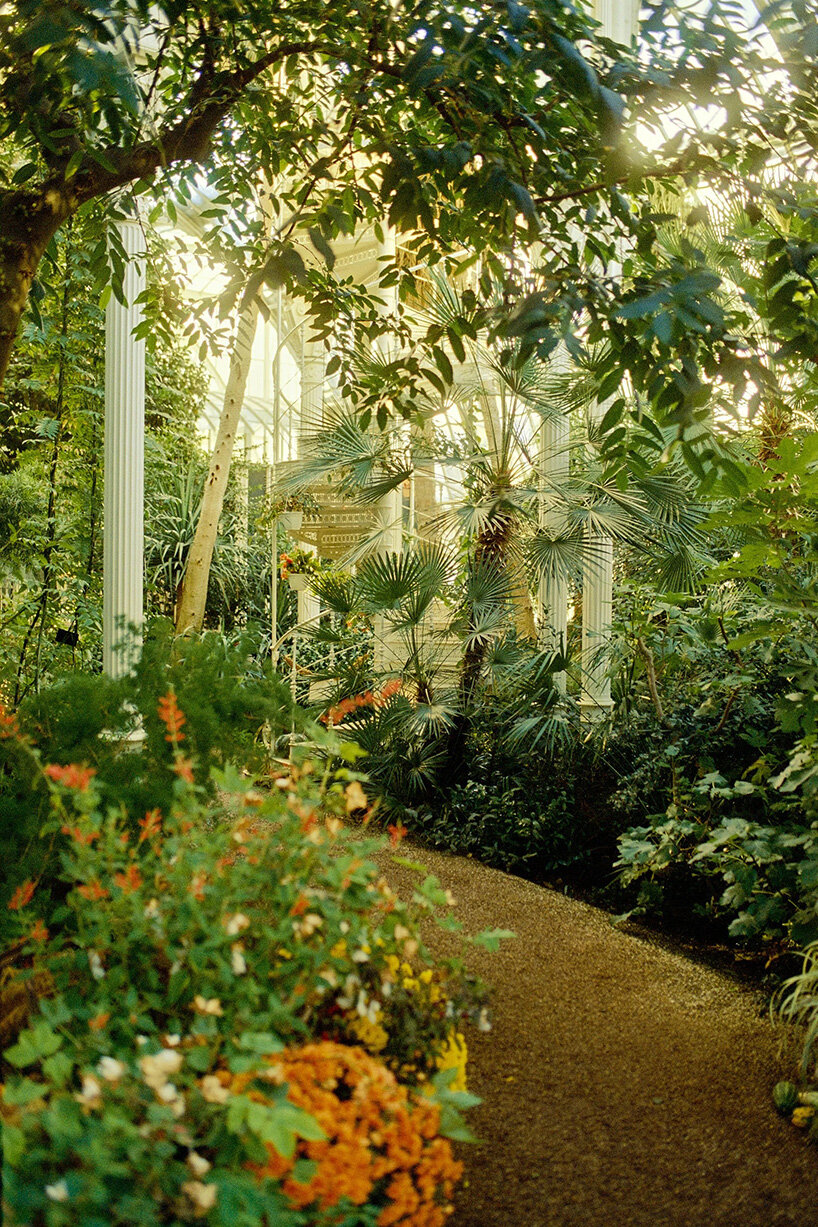 David Altrath photographes Palmenhaus in Vienna in analogous, foliage and form photos