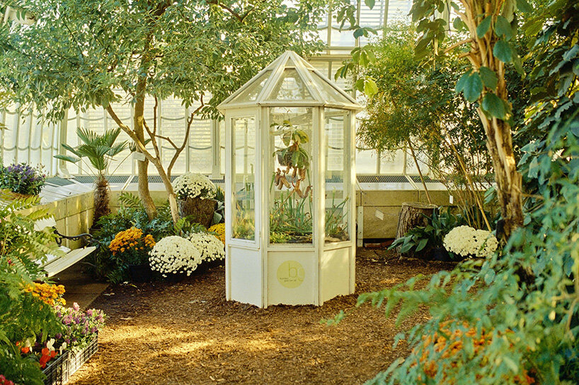 david altrath photographs vienna's palmenhaus in analog stills of light, foliage and form