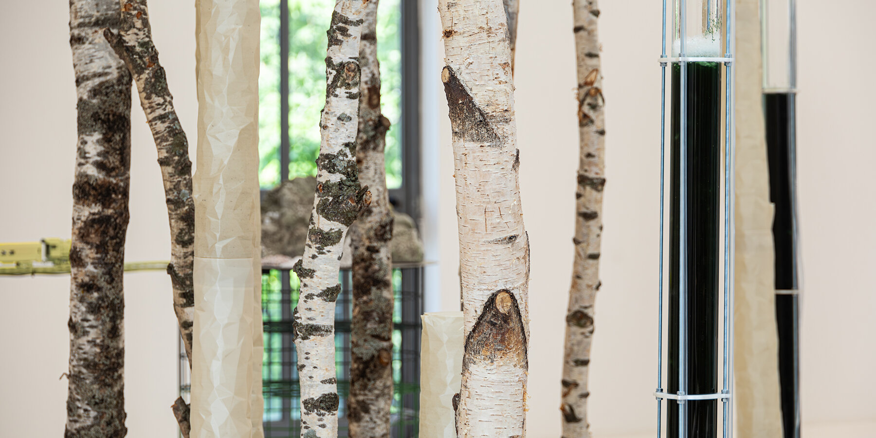 deepforest-3-microbial-architectural-installation-ecologicstudio-designboom-1800-3