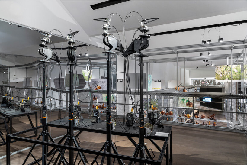 designboom’s ultimate guide to 24th triennale milano international exhibition 2025