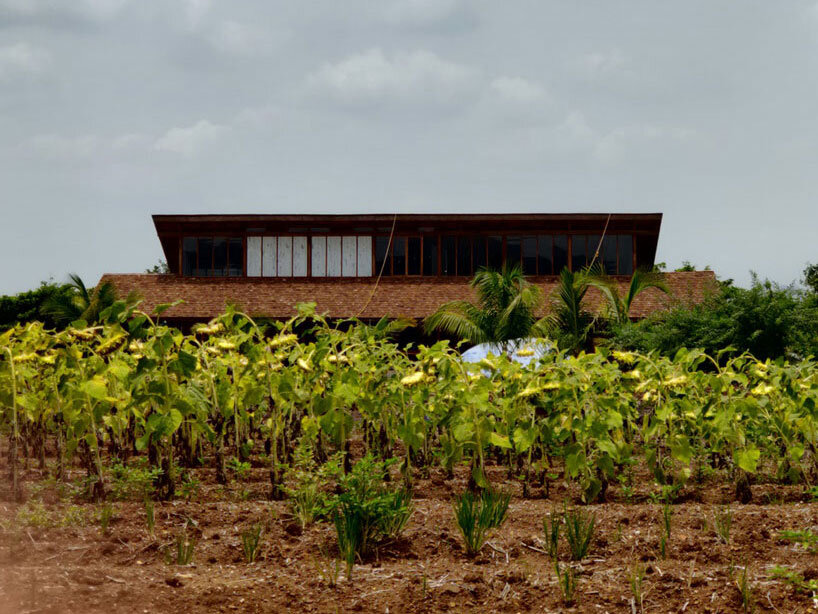 metis practice combines wooden shingles and copper for pali farmhouse's roofing in india