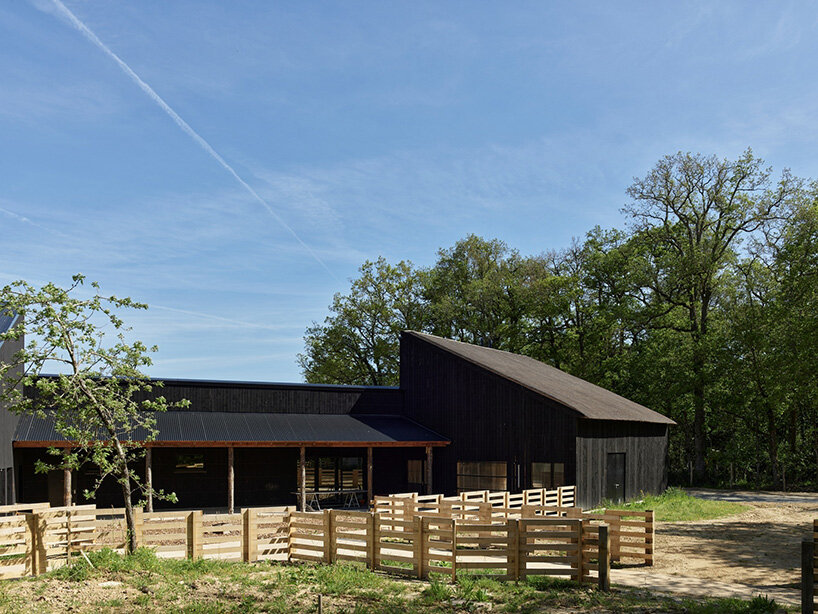 guinee*potin's agro-ecological park revives french site through timber and translucent skins