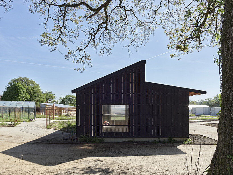guinee*potin's agro-ecological park revives french site through timber and translucent skins