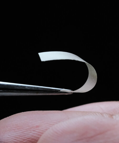 living biodegradable material made from fungi curls and unfolds as it reacts to surroundings