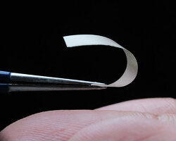living biodegradable material made from fungi curls and unfolds as it reacts to surroundings