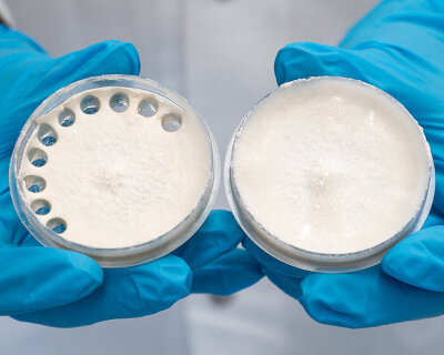 living biodegradable material made from fungi can make bags that decompose waste