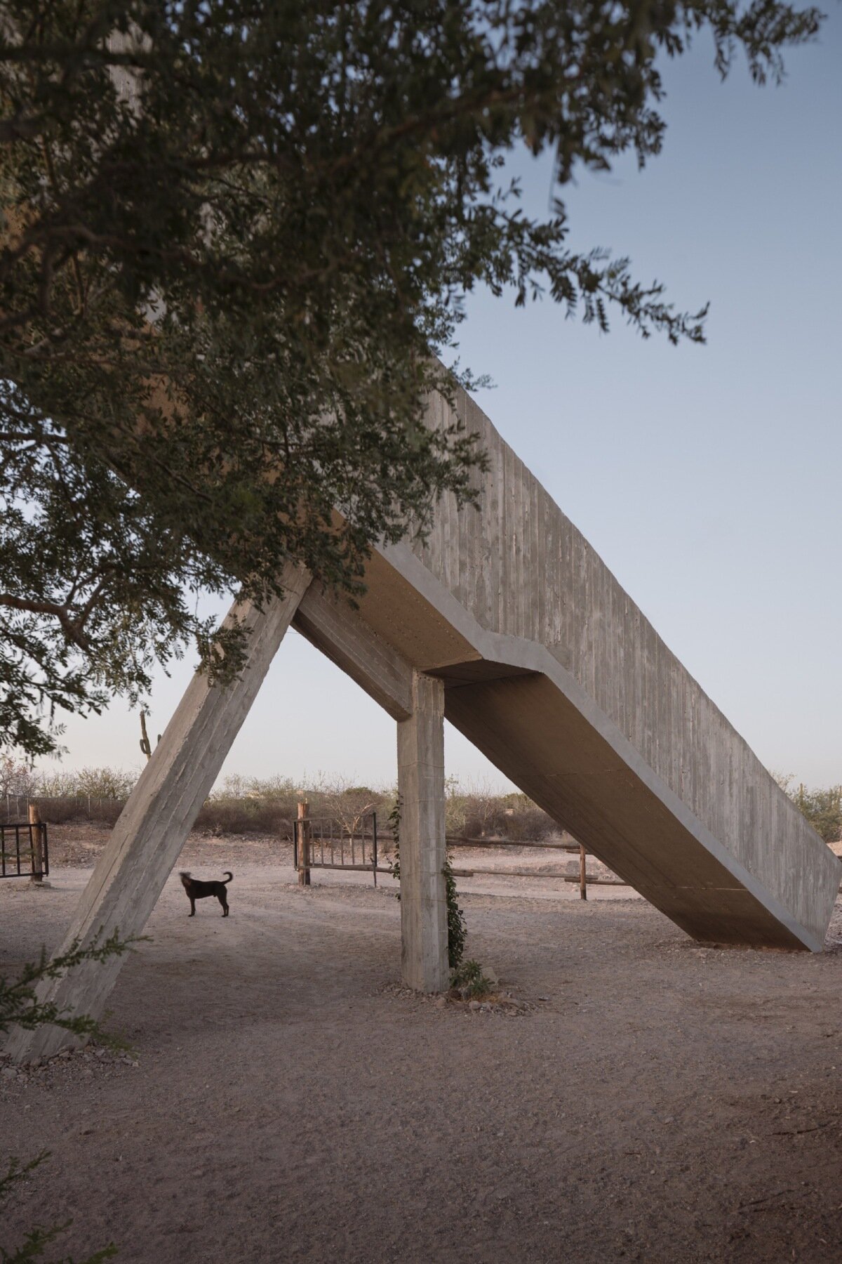 ludwig godefroy's cluster of volumes at casa la paz shape 'a garden with a house' in mexico