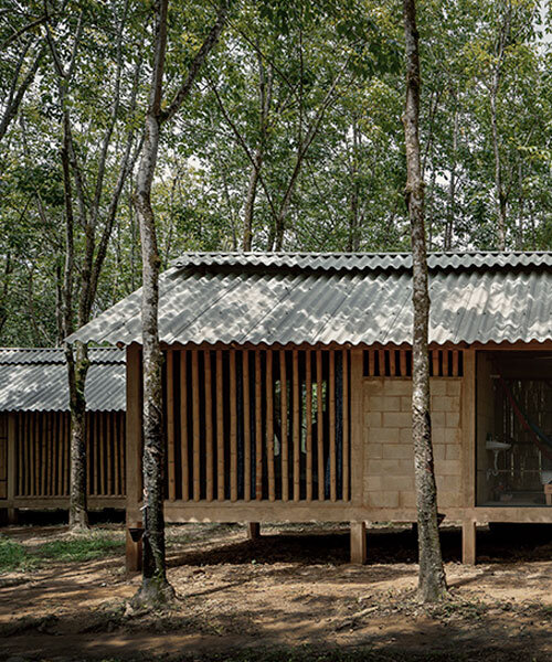 manuel cervantes estudio embeds temporary housing units among rubber trees in mexico