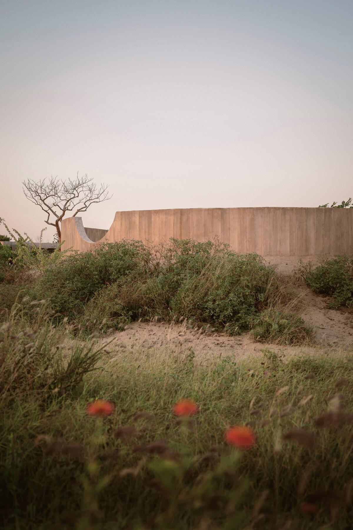 The concrete ring wraps around the spiritual enclosure of the practice Rubén Valdez in the Mexico Desert