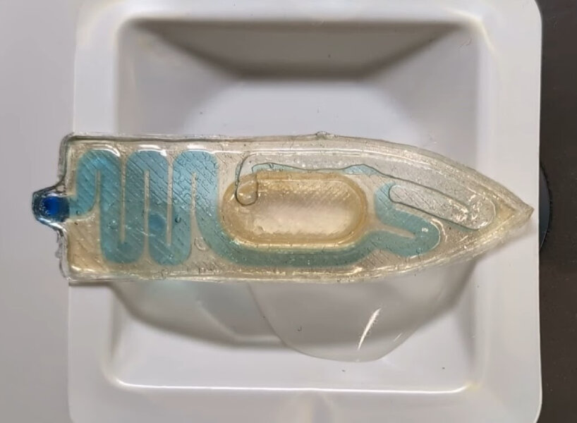 swimming biodegradable boat robots