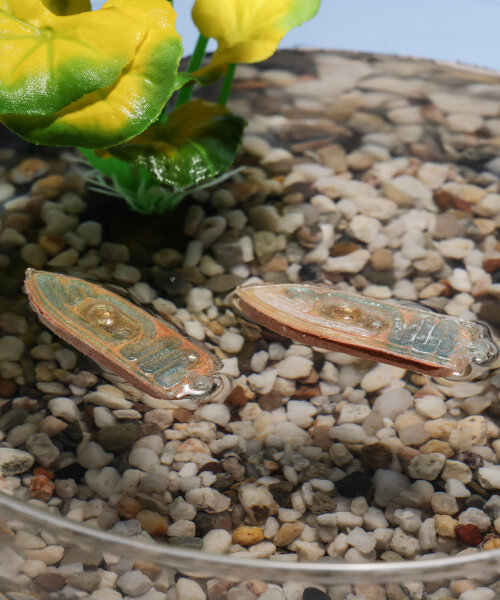 scientists develop biodegradable boat robots that fish can actually eat