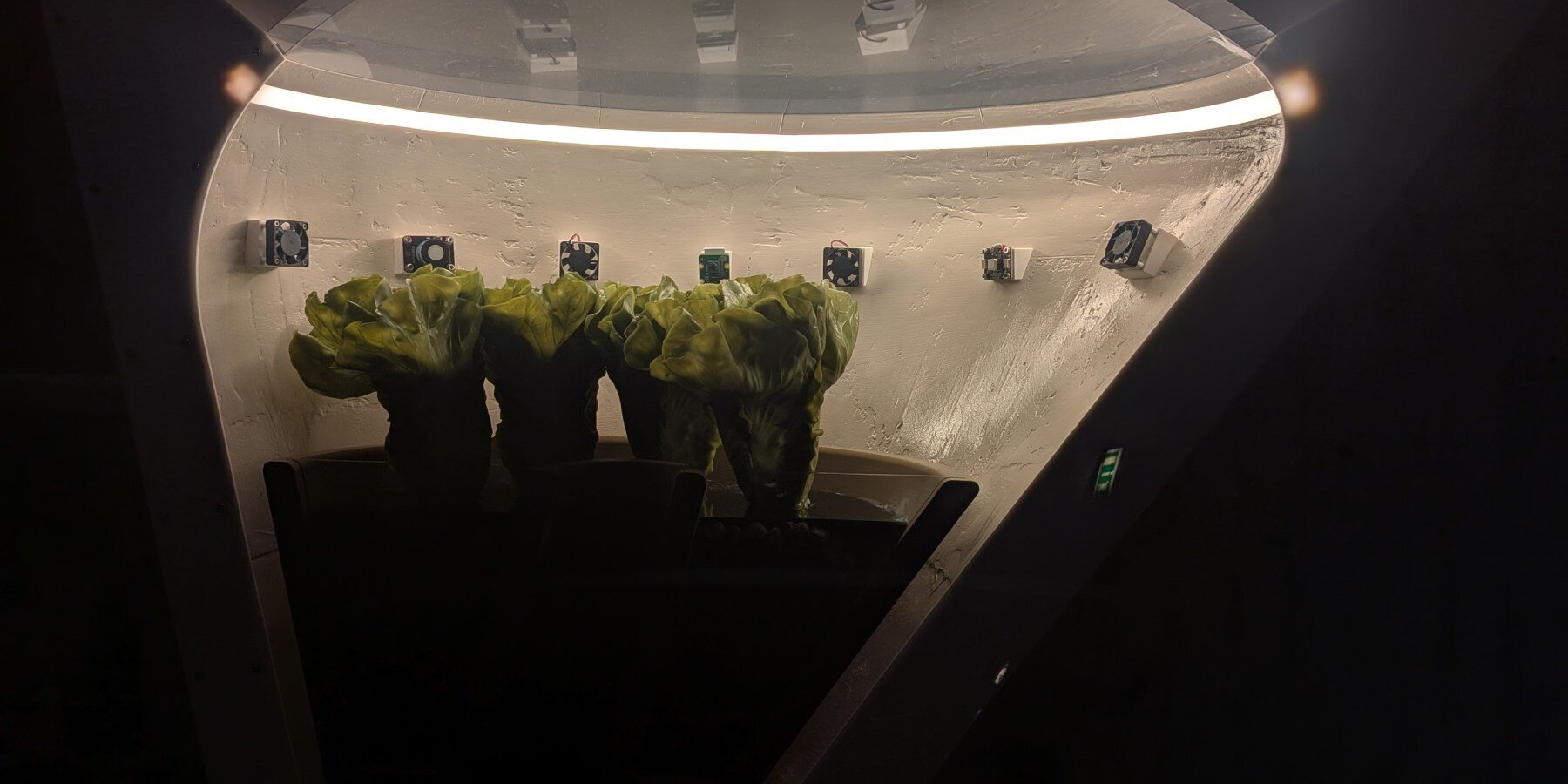 space-garden-heatherwick-studio-venice-architecture-biennale-designboom-01