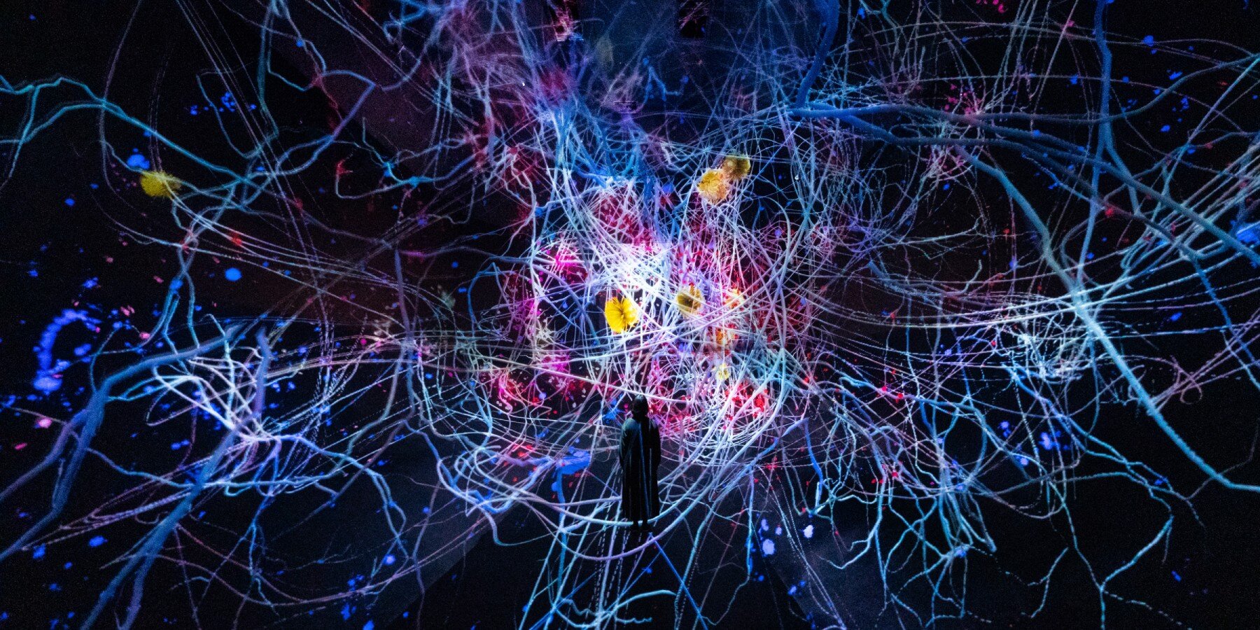 teamlab-biovortex-kyoto-designboom-01