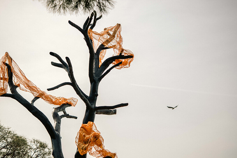 thanos zakopoulos transforms fallen pine into fiery symbol of rebirth at ekies resort in greece