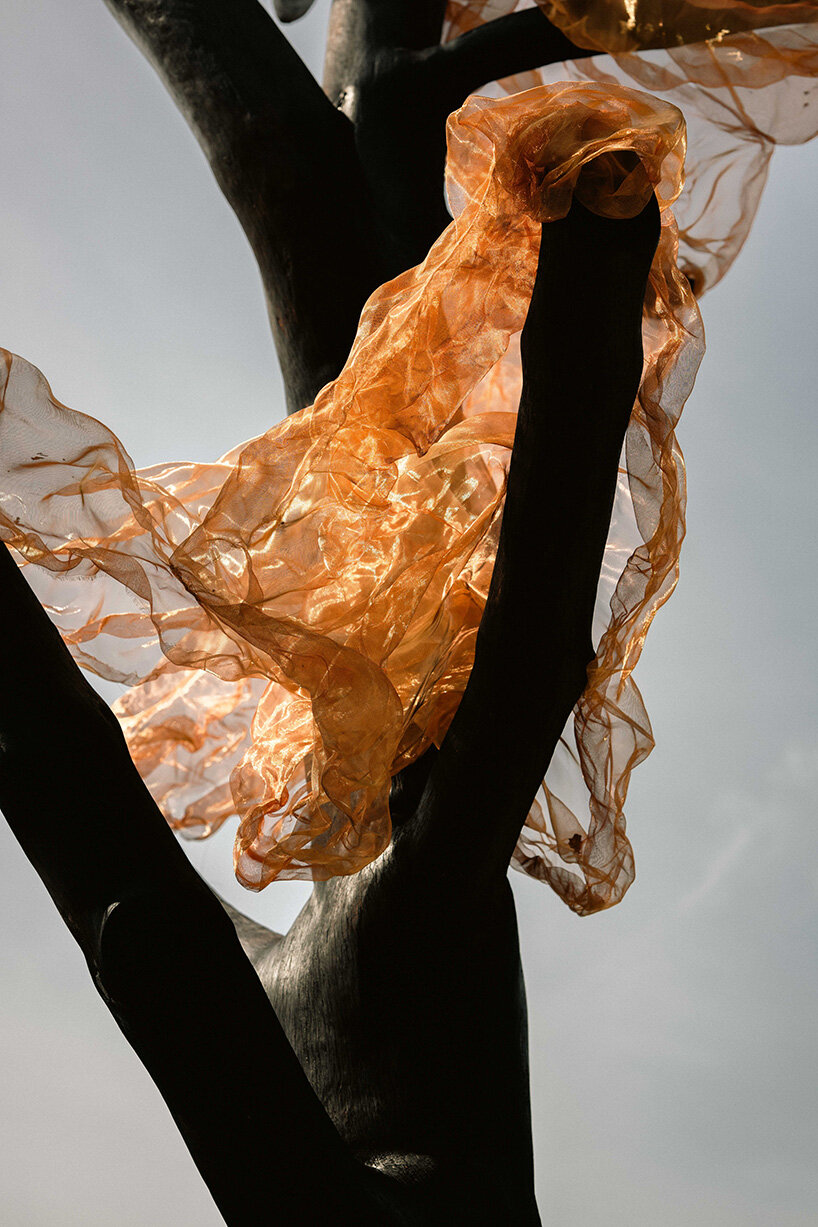 thanos zakopoulos transforms fallen pine into fiery symbol of rebirth at ekies resort in greece