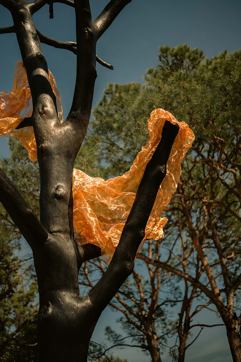 thanos zakopoulos transforms fallen pine into fiery symbol of rebirth at ekies resort in greece