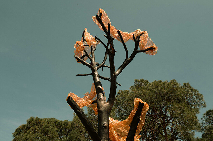 thanos zakopoulos transforms fallen pine into fiery symbol of rebirth at ekies resort in greece