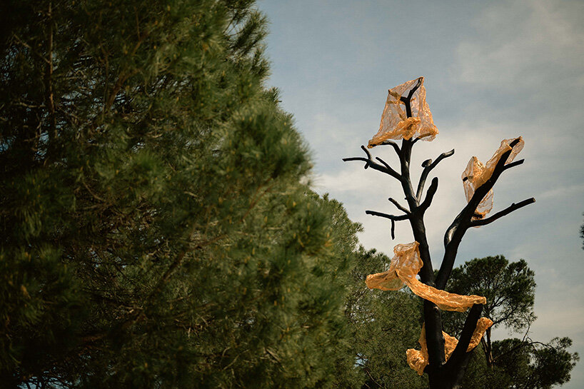 thanos zakopoulos transforms fallen pine into fiery symbol of rebirth at ekies resort in greece