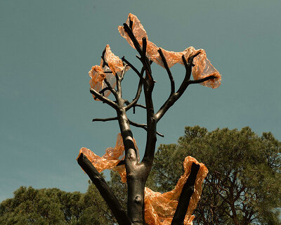 thanos zakopoulos transforms fallen pine into fiery symbol of rebirth at ekies resort in greece