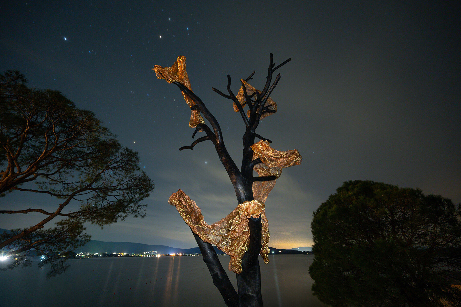 thanos-zakopoulos-charred-pine-fiery-symbol-rebirth-greek-ekies-all-senses-resort-designboom-large01