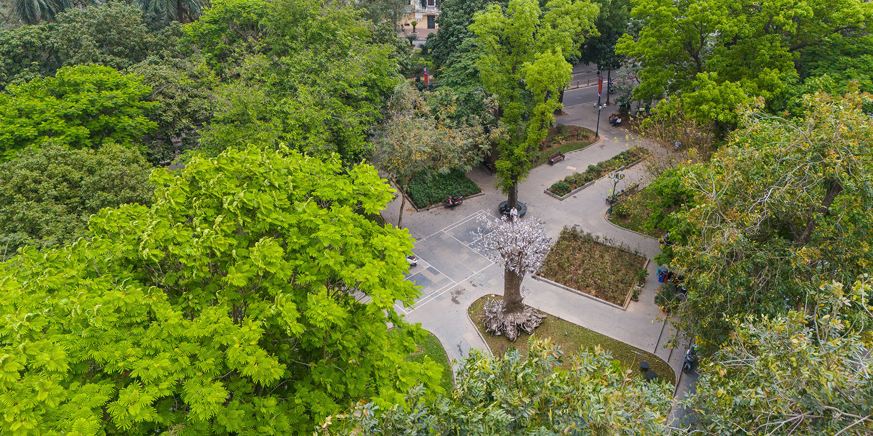 tia-thuy-nguyen-sculptural-tree-installation-hanoi-designboom-1800-2