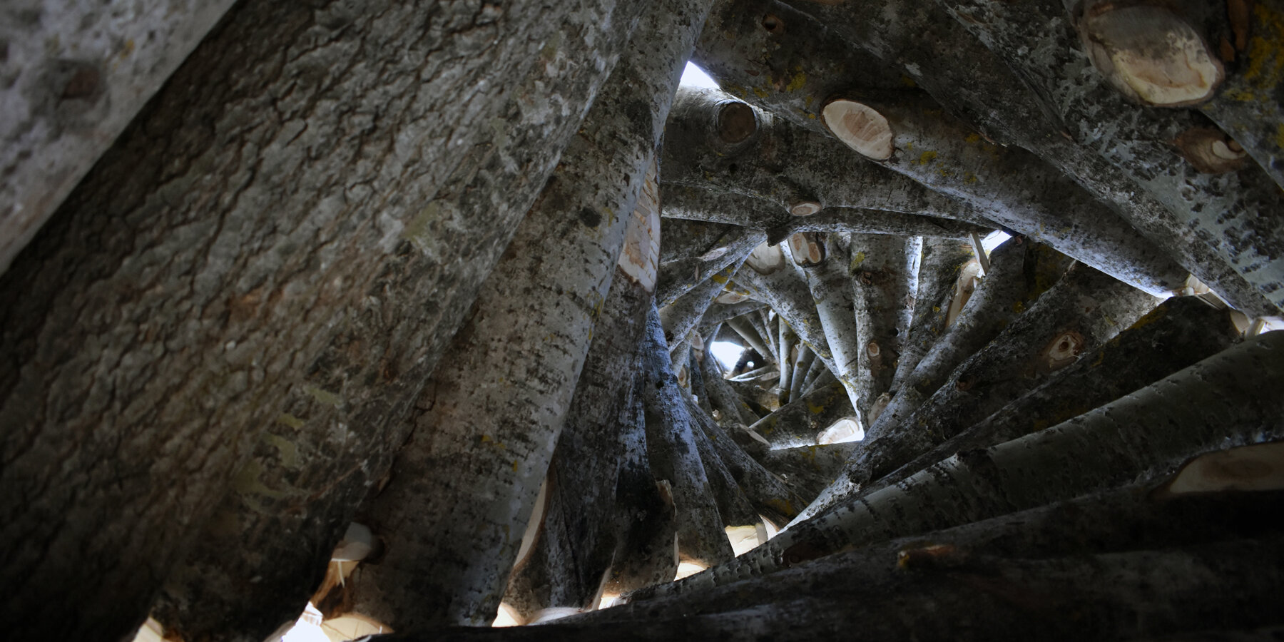timber-twist-ulf-mejergren-architects-uma-travis-child-designboom-1800-2