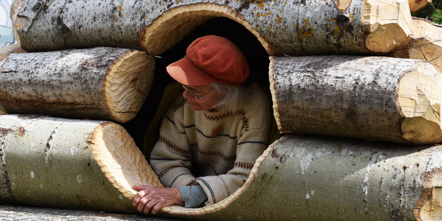 timber-twist-ulf-mejergren-architects-uma-travis-child-designboom-1800-3