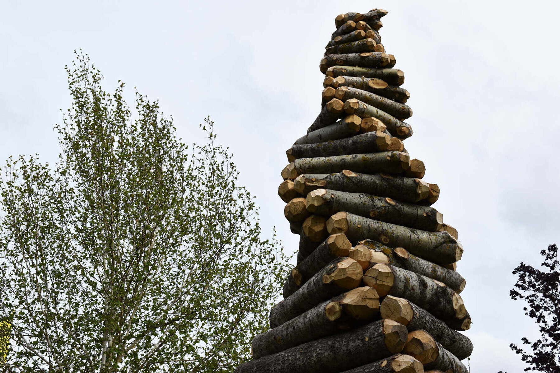 timber-twist-ulf-mejergren-architects-uma-travis-child-designboom-1800-4