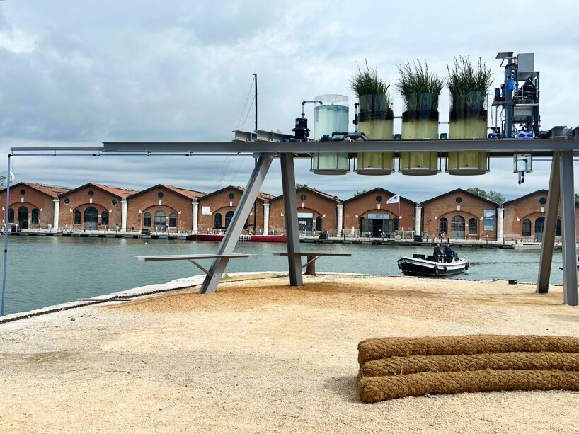 venice biennale coffee canals