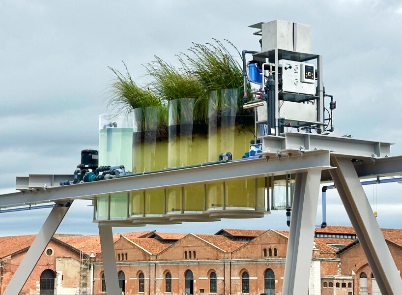 venice biennale coffee canals
