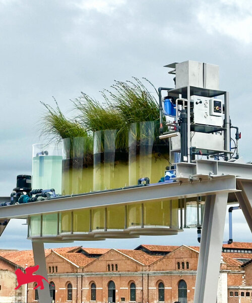 at venice biennale, you can sip espressos made straight from the city’s canals