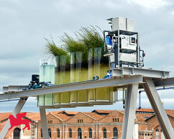 at venice biennale, you can sip espressos made straight from the city’s canals