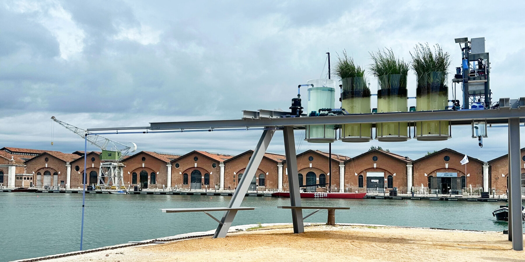 venice-architecture-biennale-2025-coffee-city-canals-diller-scofidio-renfro-café-designboom-ban