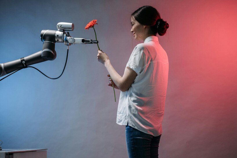 why AI language models like chatGPT and gemini can’t understand flowers like humans do