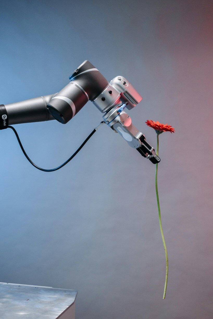 why AI language models like chatGPT and gemini can’t understand flowers like humans do