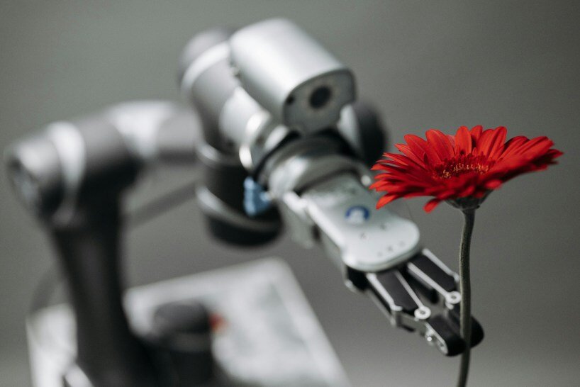 why AI language models like chatGPT and gemini can’t understand flowers like humans do