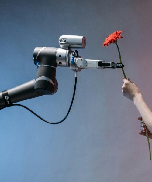 why AI language models like chatGPT and gemini can’t understand flowers like humans do