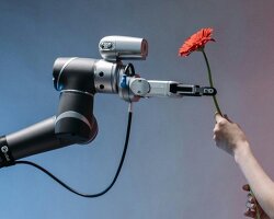 why AI language models like chatGPT and gemini can’t understand flowers like humans do