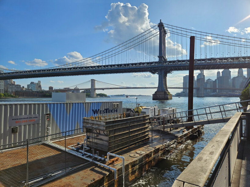 New York City +pool